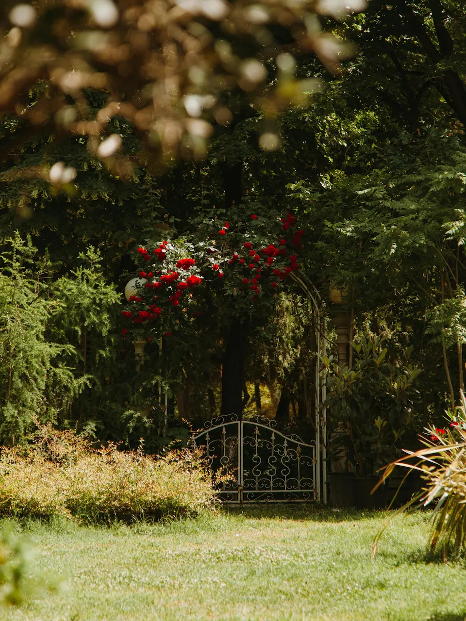 Illustration de jardin