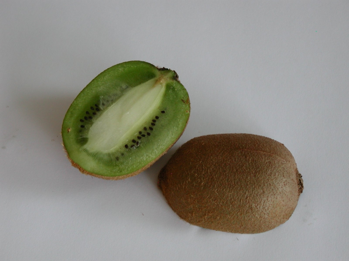 Kiwi Hayward