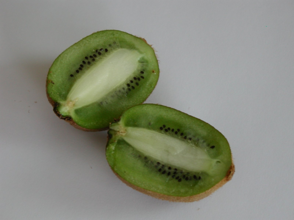 Kiwi Hayward