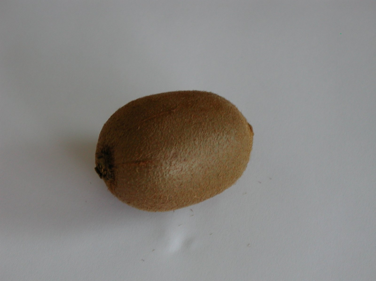 Kiwi Hayward