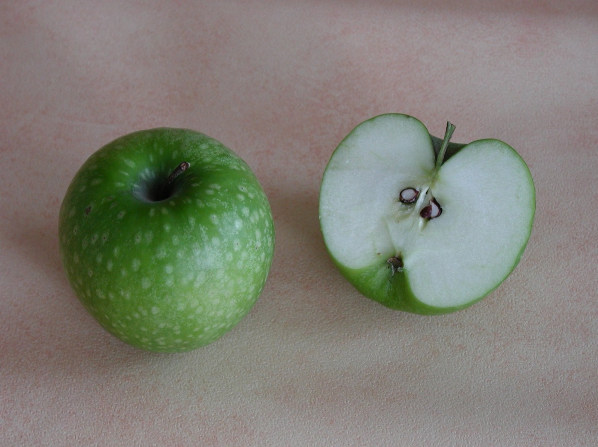 Pommier Granny Smith