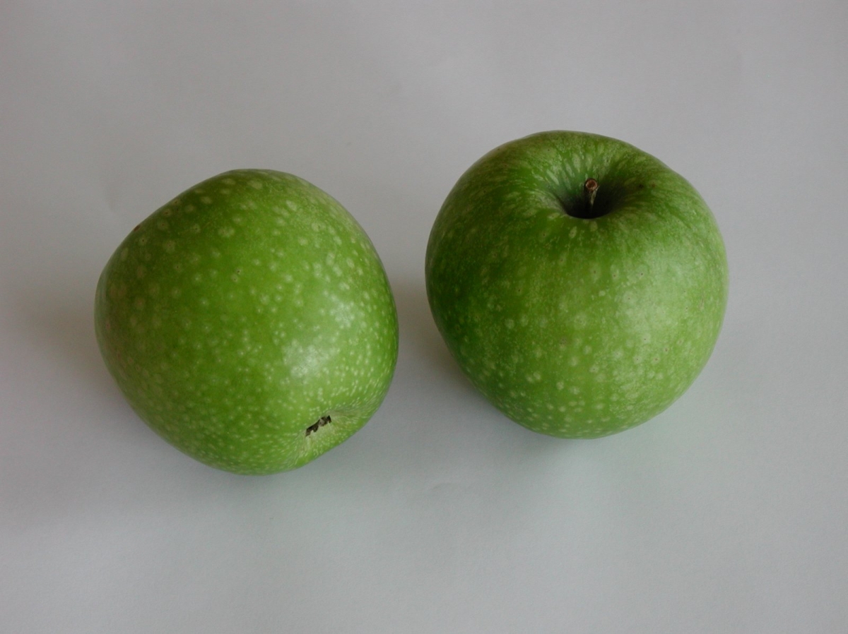 Pommier Granny Smith
