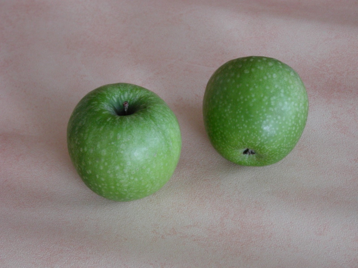 Pommier Granny Smith