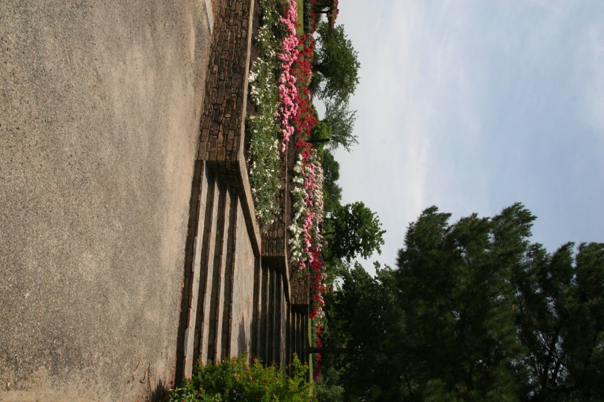 Rosier